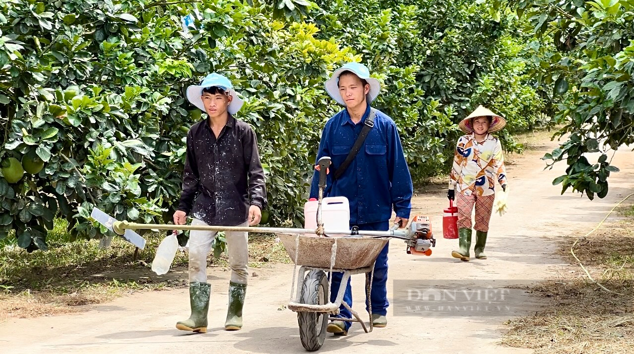 Hà Tĩnh: Mê làm nông nghiệp hữu cơ, anh kỹ sư nghèo trở thành Nông dân xuất sắc 2024 thu về hơn 6 tỷ đồng/năm - Ảnh 14.