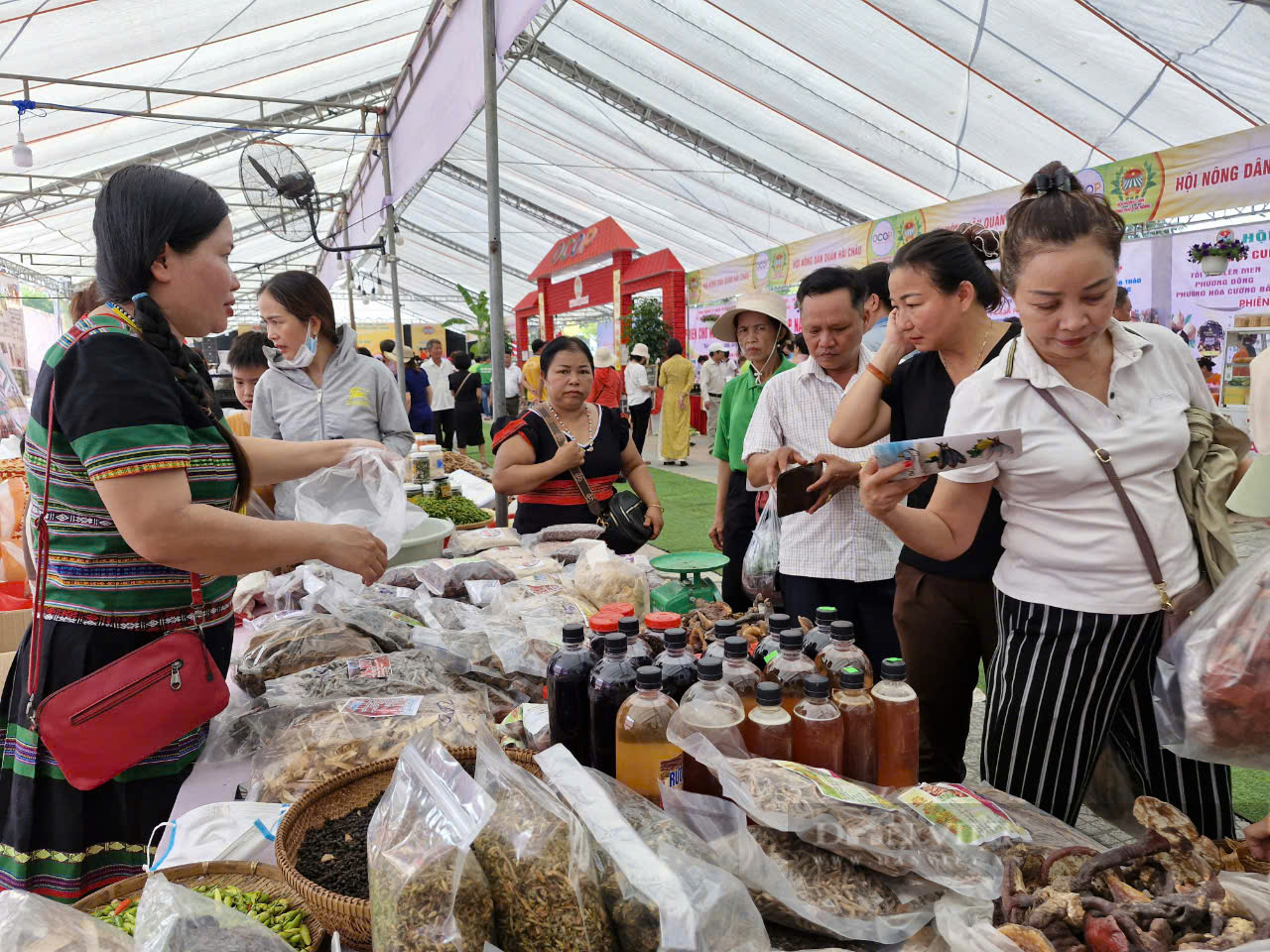 Sôi nổi Phiên chợ nông sản và sản phẩm OCOP của Hội Nông dân Đà Nẵng năm 2024- Ảnh 6.