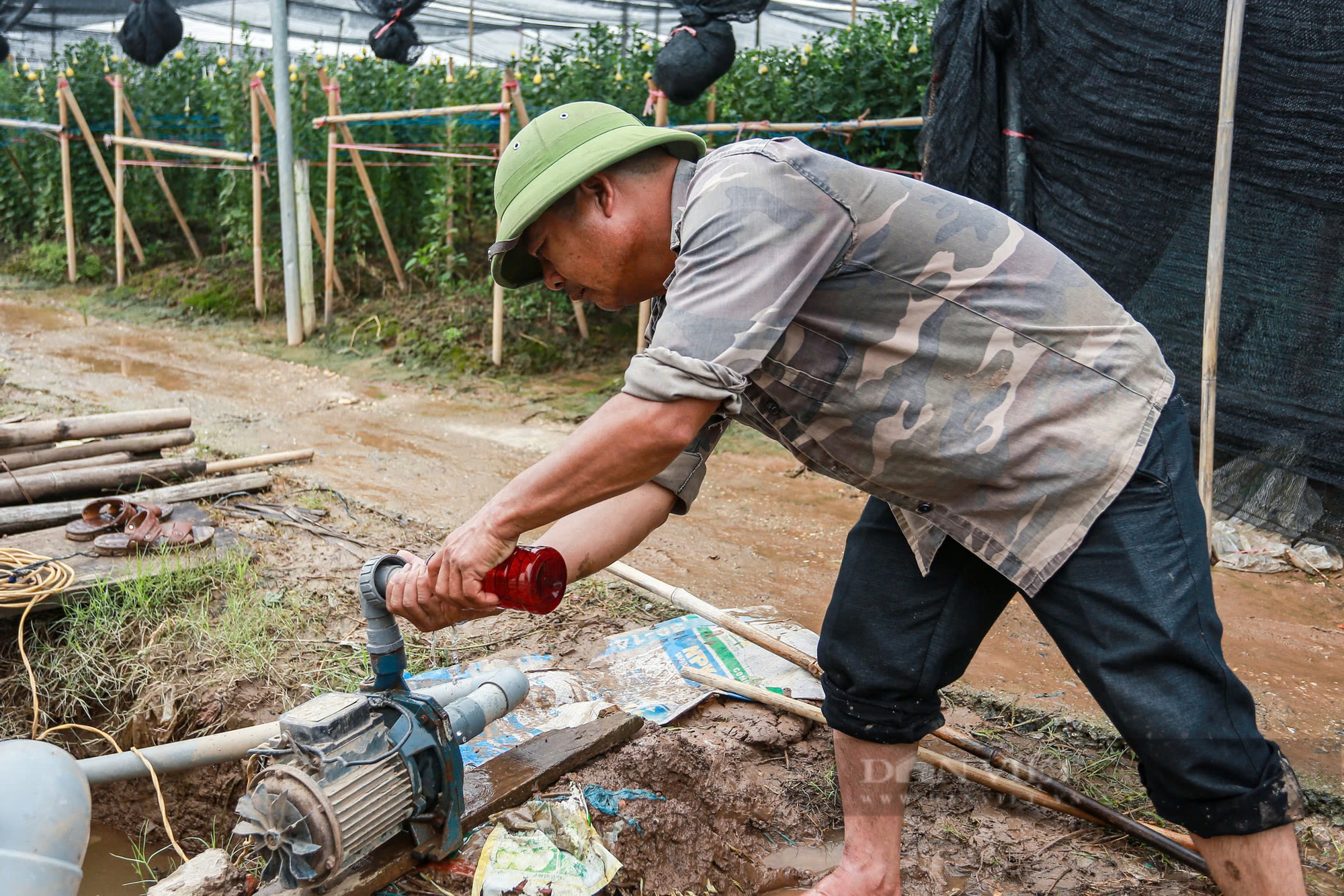 Làng hoa Tây Tựu ngập nặng, người dân hối hả tát nước cứu tài sản- Ảnh 3.