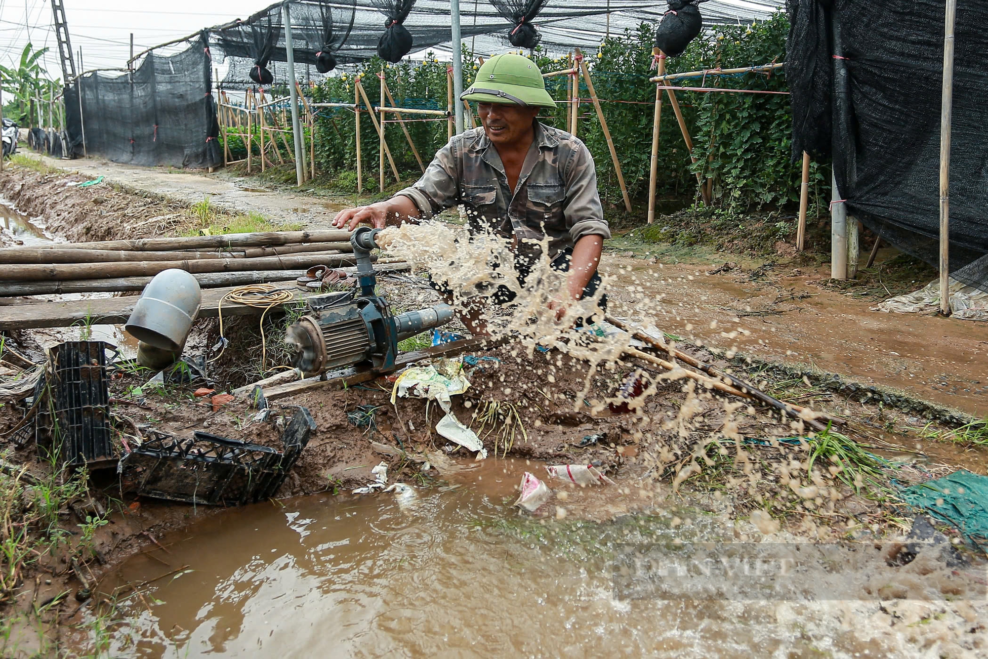 Làng hoa Tây Tựu ngập nặng, người dân hối hả tát nước cứu tài sản- Ảnh 4.