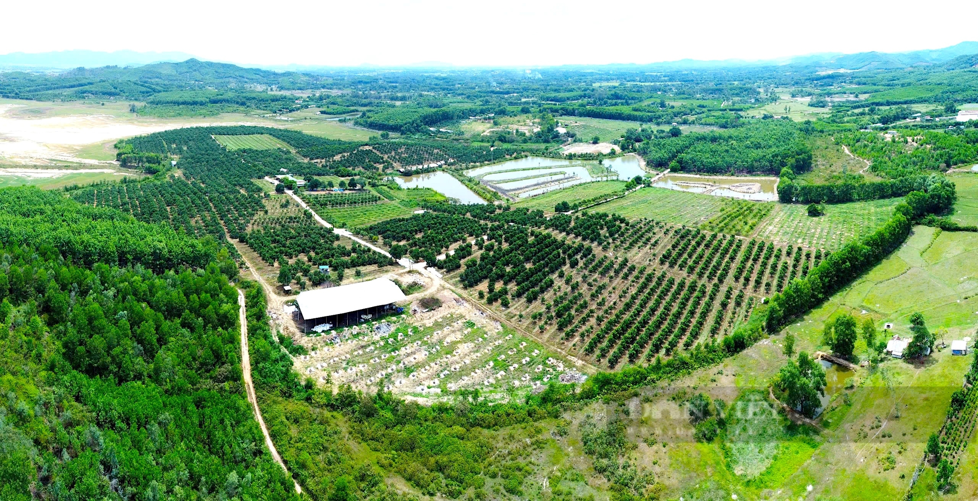 Hà Tĩnh: Mê làm nông nghiệp hữu cơ, anh kỹ sư nghèo trở thành Nông dân xuất sắc 2024 thu về hơn 6 tỷ đồng/năm - Ảnh 1.