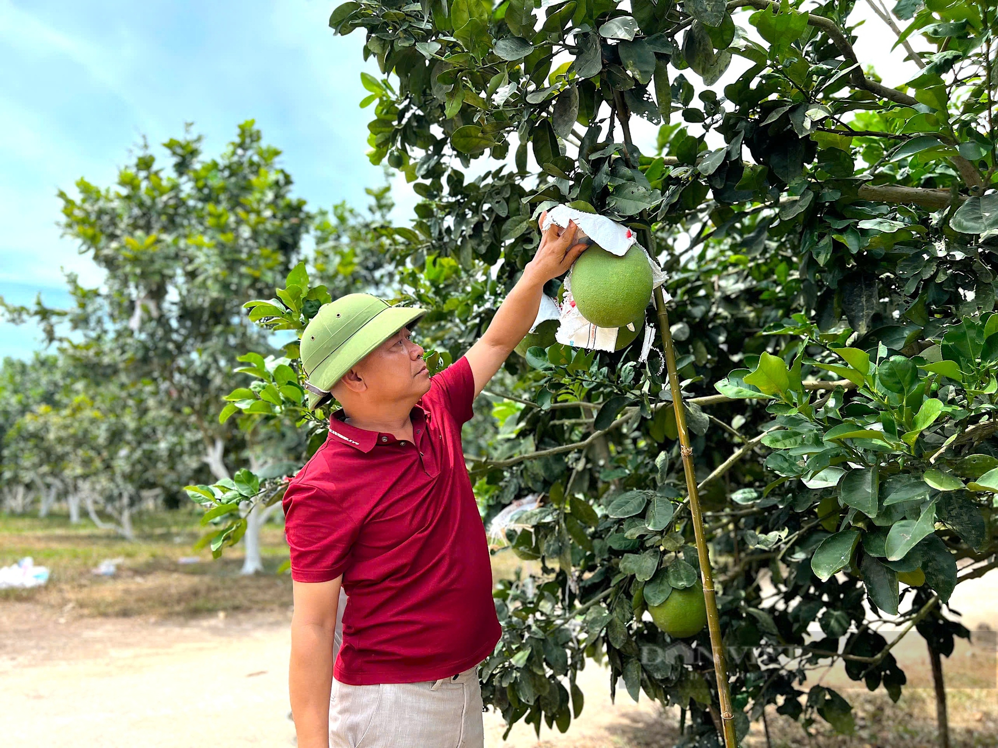 Hà Tĩnh: Mê làm nông nghiệp hữu cơ, anh kỹ sư nghèo trở thành Nông dân xuất sắc 2024 thu về hơn 6 tỷ đồng/năm - Ảnh 9.