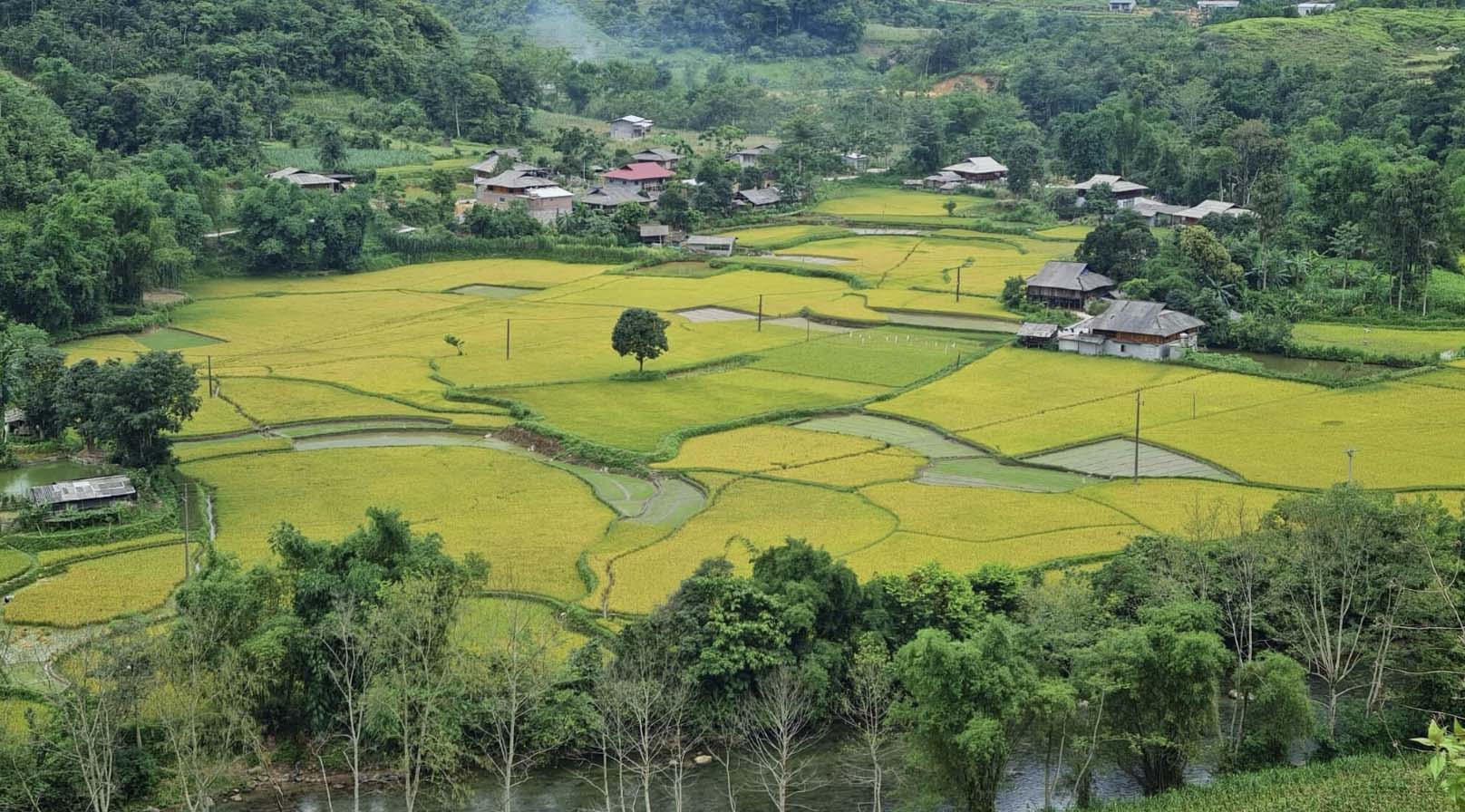 Top 10 ngôi làng tuyệt đẹp, làng cổ, cực yên bình tại Hà Giang du khách không nên bỏ lỡ nghỉ lễ 2/9 - Ảnh 6.