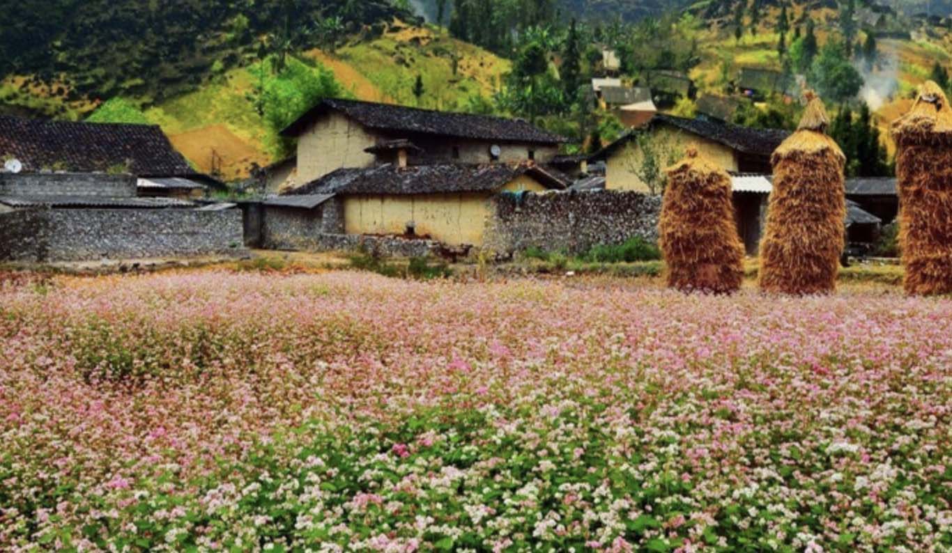 Top 10 ngôi làng tuyệt đẹp, làng cổ, cực yên bình tại Hà Giang du khách không nên bỏ lỡ nghỉ lễ 2/9 - Ảnh 7.