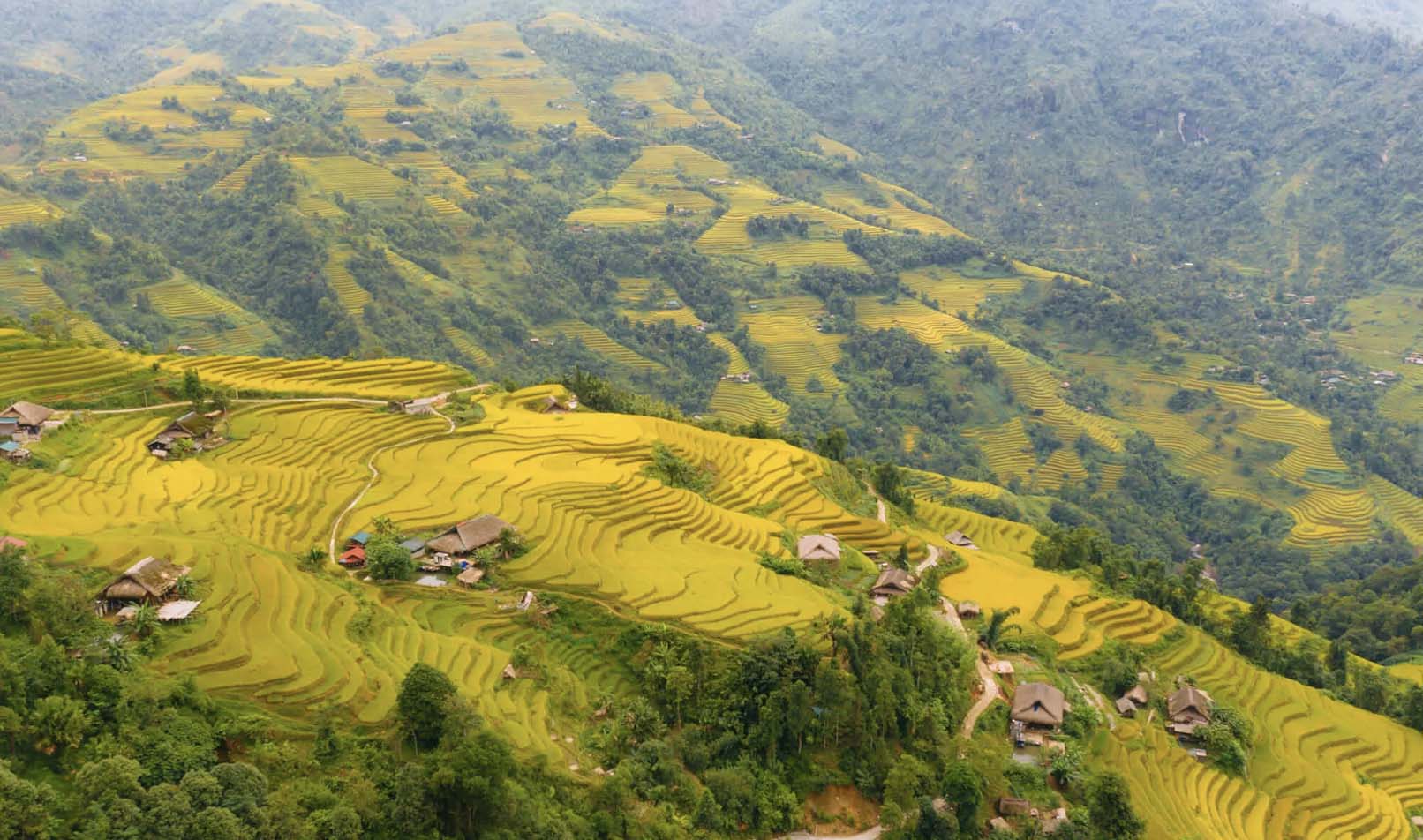 Top 10 ngôi làng tuyệt đẹp, làng cổ, cực yên bình tại Hà Giang du khách không nên bỏ lỡ nghỉ lễ 2/9 - Ảnh 8.