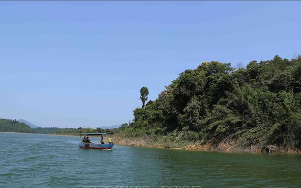 Loại rau rừng Tây Bắc ngon, sạch, lạ muốn đọc phải uốn lưỡi 2 lần, quý như nhân sâm của người Việt - Ảnh 9.