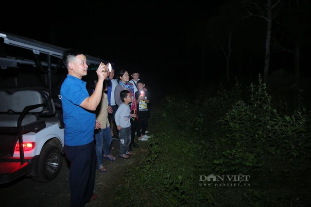 Hướng dẫn viên Vườn Quốc gia Cúc Phương: "Không ngại xuyên rừng, ngủ bản, dẫn tour đêm" - Ảnh 3.