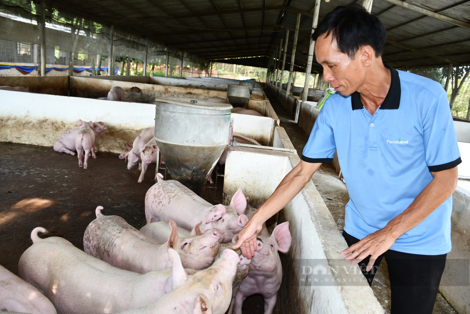 Nông dân sản xuất giỏi Lâm Văn Giàng: Khởi nghiệp lái heo, thành… tỷ phú cây cao su - Ảnh 2.