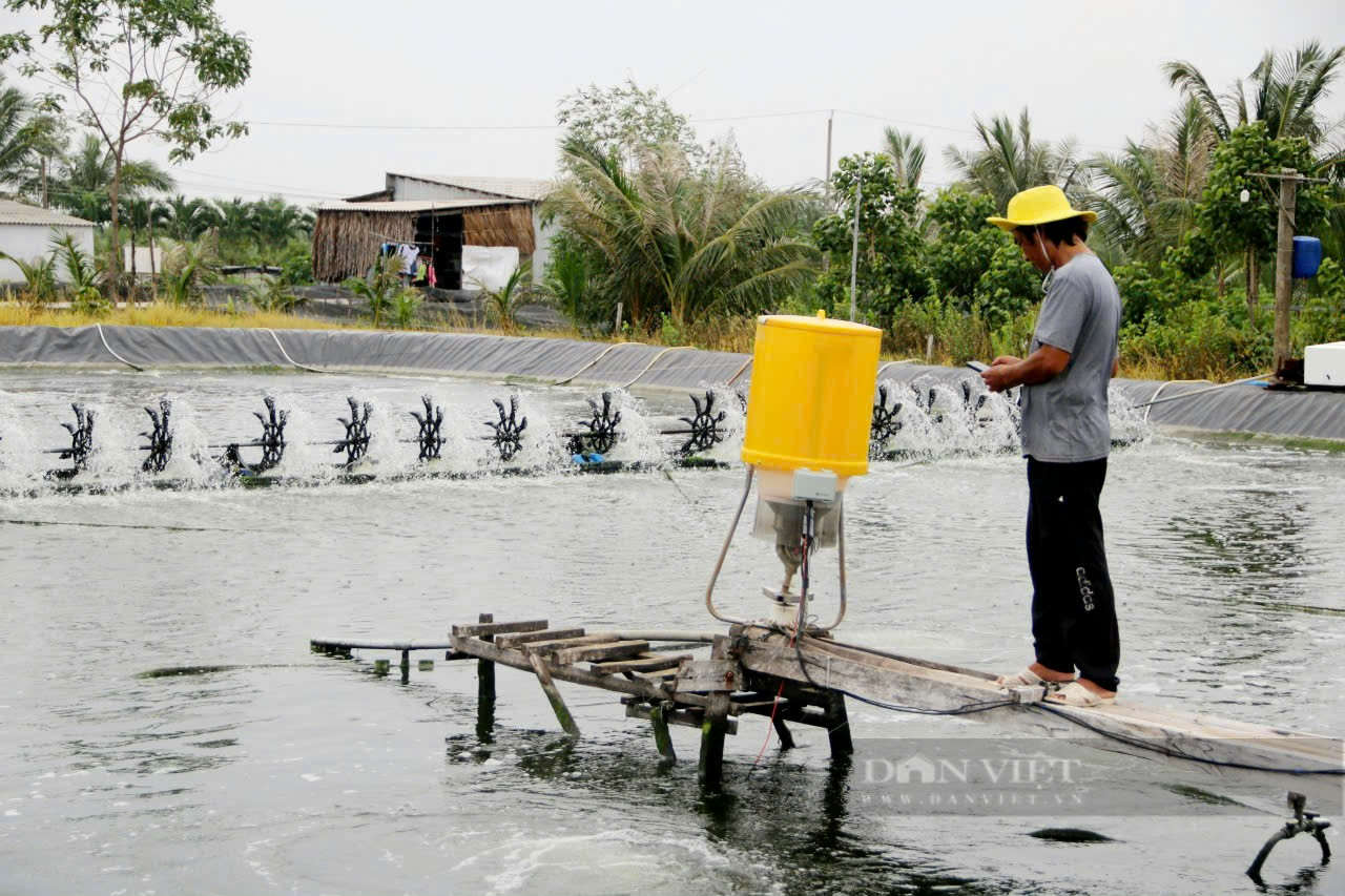 Agribank hỗ trợ nông dân Phú Tân phát triển mô hình nuôi tôm siêu thâm canh, mở ra hướng đi giàu có