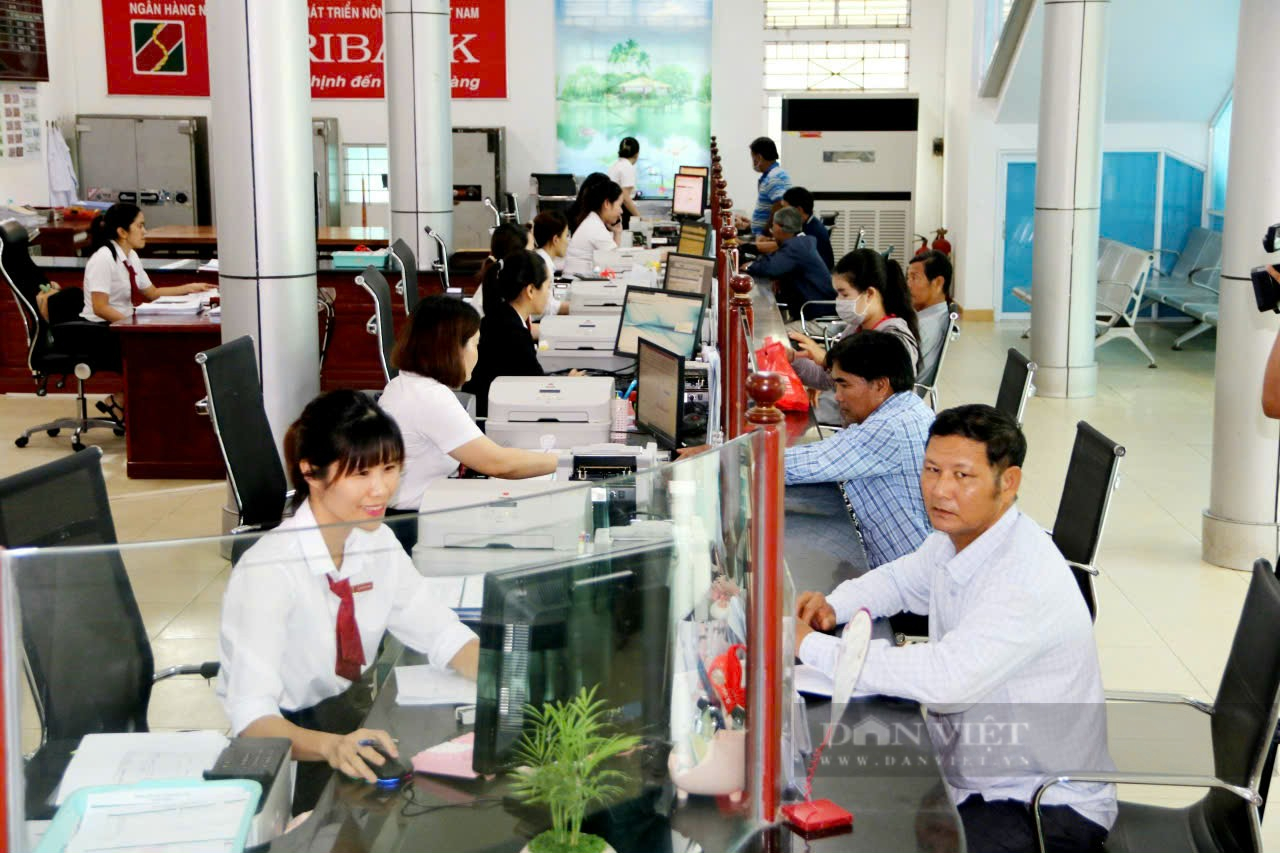 Agribank CN tỉnh Cà Mau đồng hành cùng nông dân Cà Mau (bài 2)- Ảnh 4.