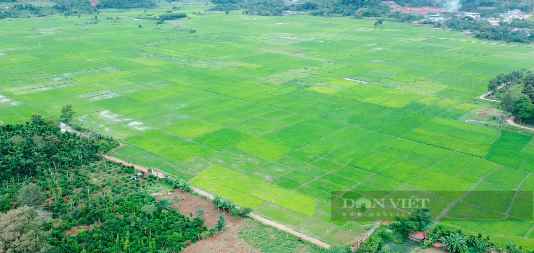 Những "vùng quê dậy sóng" đã thành điểm sáng: Đổi thay chóng mặt ở Cư Kuin, niềm vui đến với buôn làng (Bài 4) - Ảnh 8.