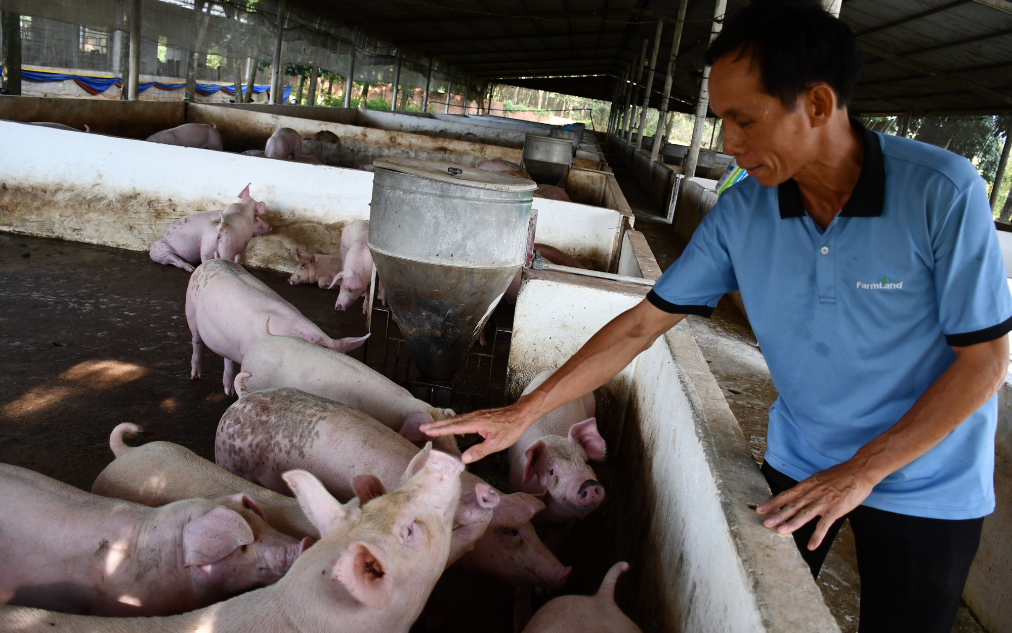 Giao thông nông thôn, nhà văn hóa, khu di tích... cũng nhờ đất hiến tặng của người dân. - Ảnh 6.