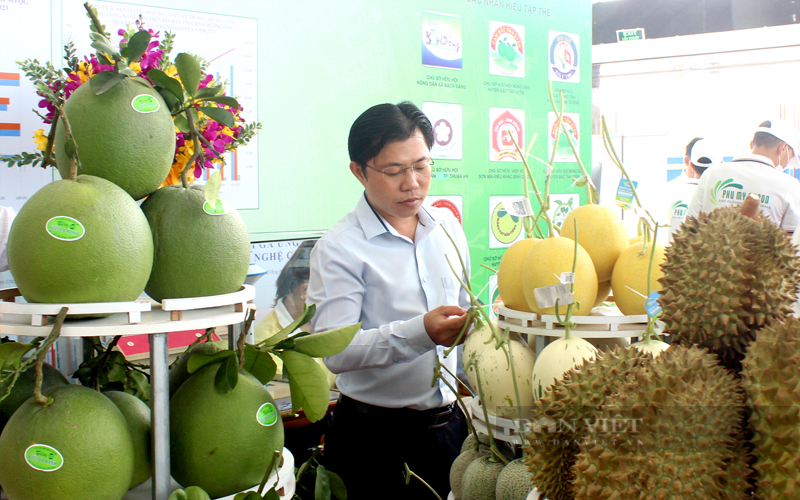 Một huyện phía Bắc Bình Dương dùng công nghệ cao tạo sức bật xây dựng nông thôn mới - Ảnh 6.