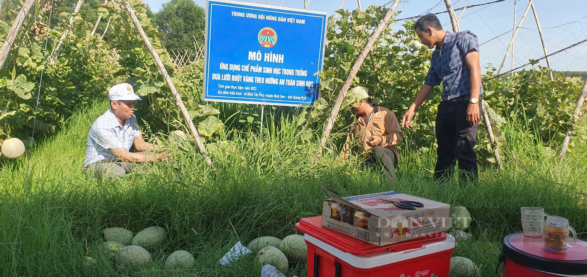 Quảng Ngãi: Xuất hiện nhiều ‘tỷ phú” nông dân nhờ phong trào nông dân thi đua sản xuất kinh doanh giỏi - Ảnh 5.