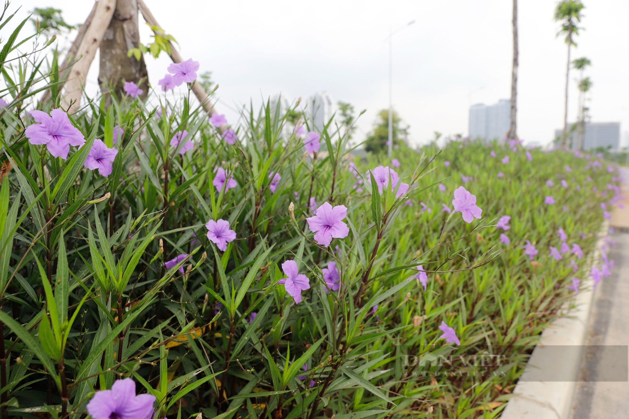 Toàn cảnh tuyến đường Lê Quang Đạo kéo dài nối 2 quận sắp hoàn thành ở Hà Nội- Ảnh 5.