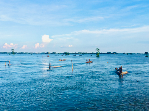 Mùa nước nổi miền Tây, dân mong cảnh trên cơm dưới cá, ngành chức năng cảnh báo điều gì? - Ảnh 2.