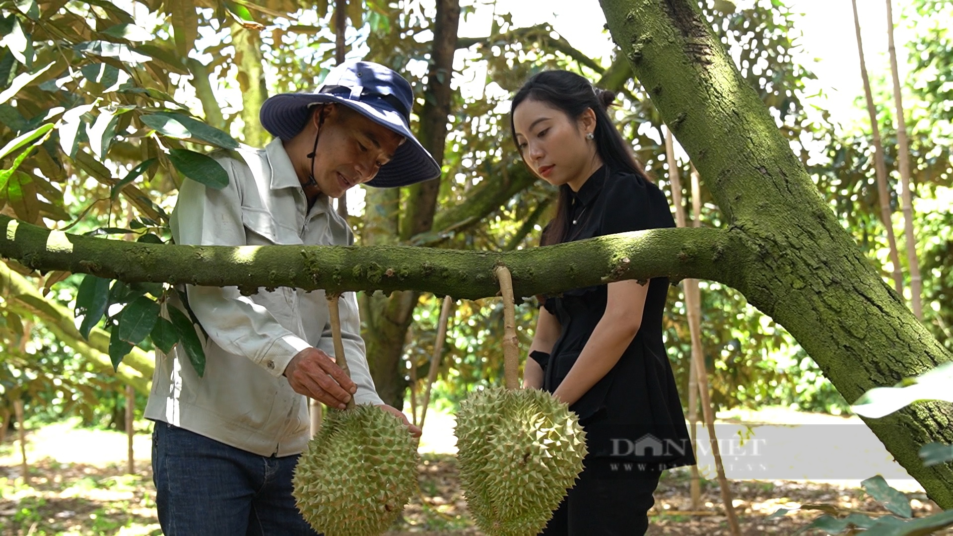 Khai thác "mỏ vàng" từ sầu riêng - trái cây vua của Việt Nam: Ngành sầu riêng đang đi bằng hai chân! - Ảnh 3.