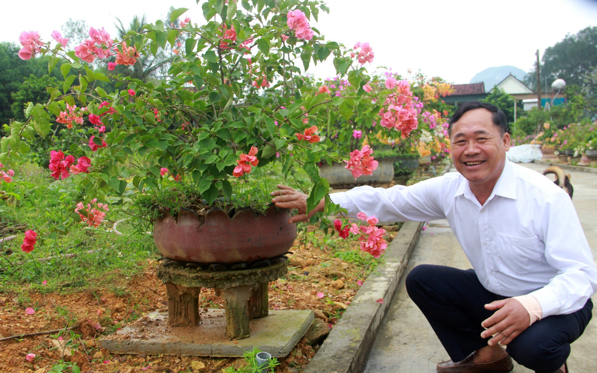 Vô vườn sầu riêng treo la liệt trái ngon, hễ đến Bến Tre, Hậu Giang, Cần Thơ là đụng ngay tỷ phú - Ảnh 1.