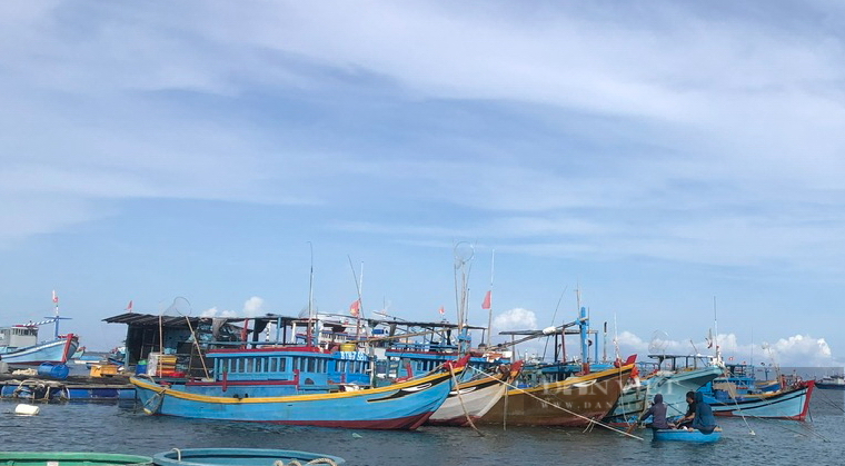 đảo Phú Quý thành Trung tâm khai thác, dịch vụ hậu cần nghề cá, kết hợp tìm kiếm cứu nạn trên biển- Ảnh 9.