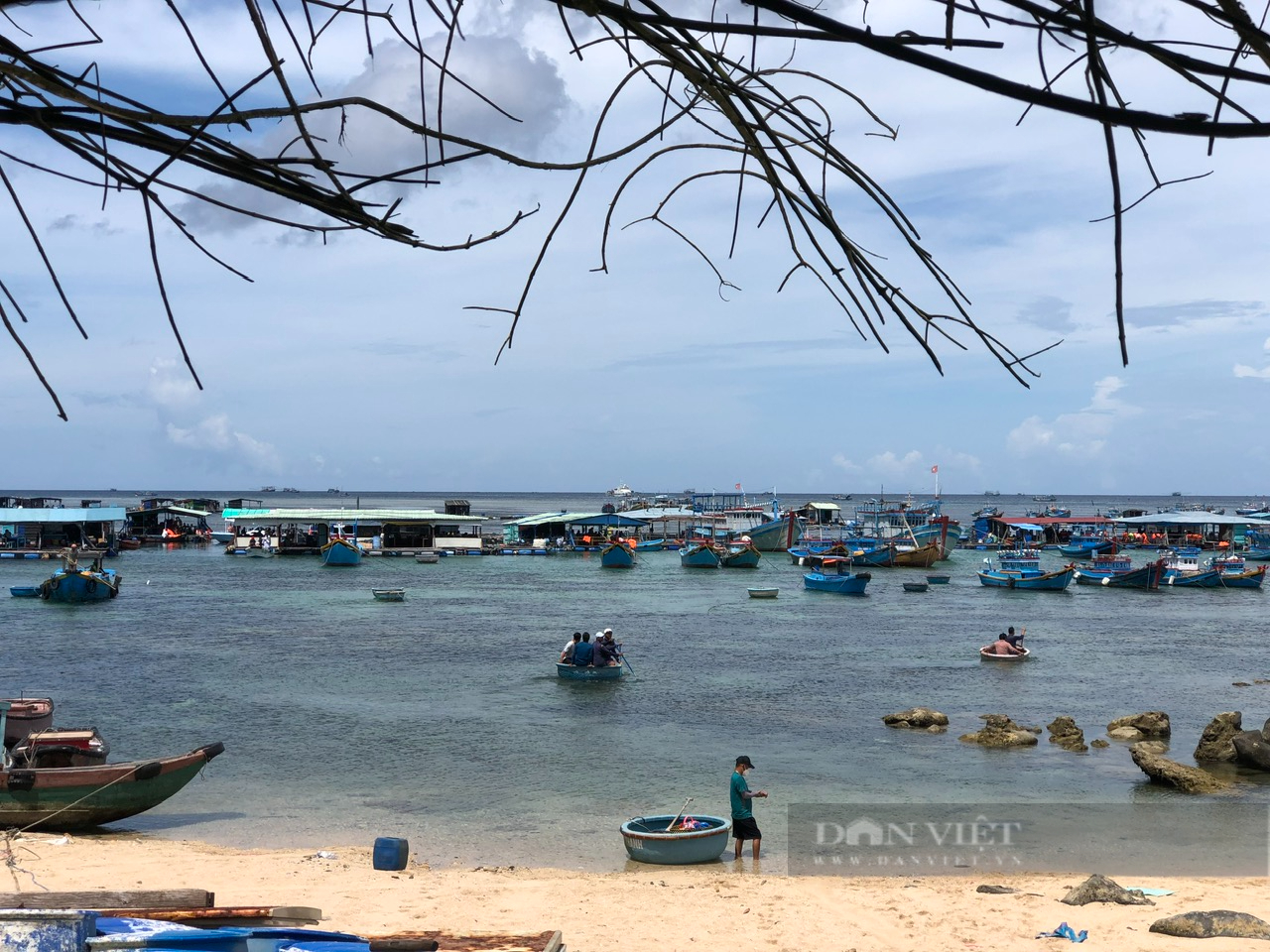 đảo Phú Quý thành Trung tâm khai thác, dịch vụ hậu cần nghề cá, kết hợp tìm kiếm cứu nạn trên biển- Ảnh 7.