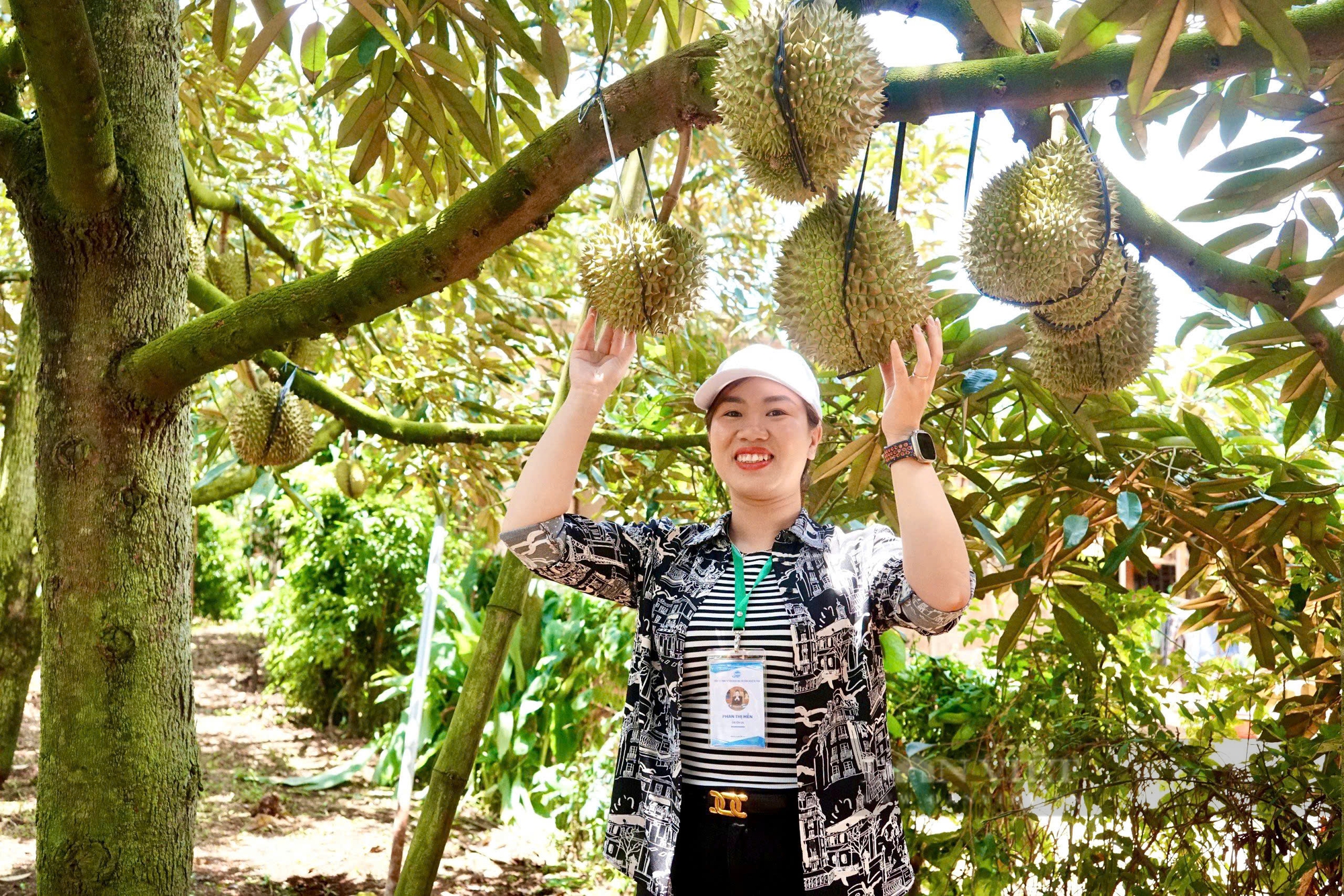 Khai thác "mỏ vàng" từ sầu riêng - trái cây vua của Việt Nam: Trung Quốc yêu cầu ngày càng cao (Bài 4) - Ảnh 2.