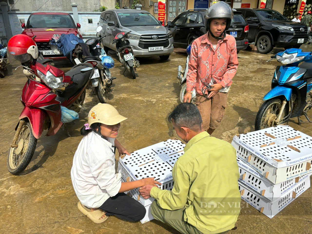 Bàn giao 6.500 con gà giống cho hội viên nông dân Lào Cai - Ảnh 2.