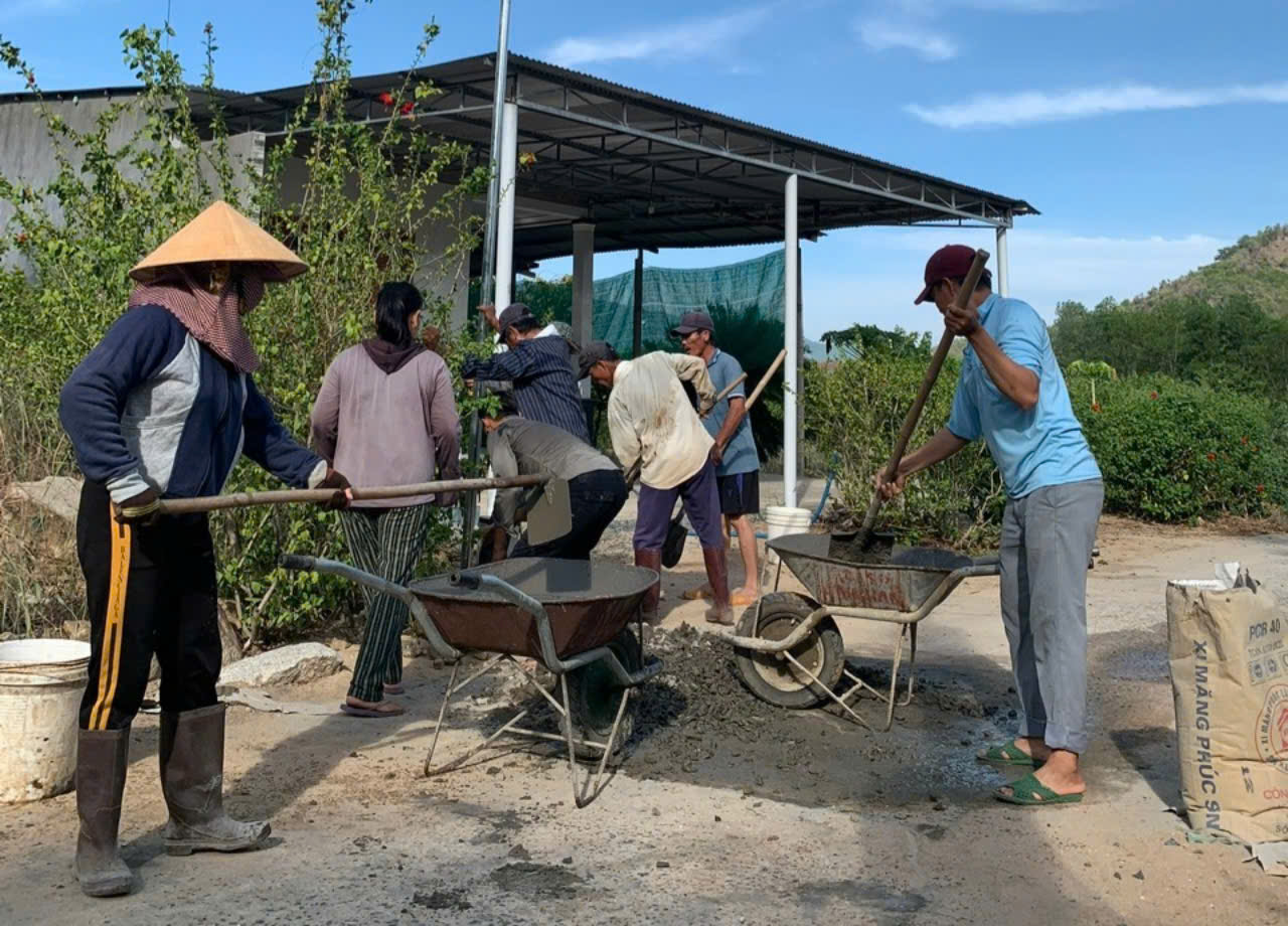 Khánh Hòa: Nông dân mang ánh sáng đến một vùng nông thôn ở Cam Lâm- Ảnh 2.