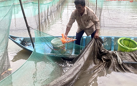 Nông dân Việt Nam xuất sắc 2024 đến từ Hải Phòng trồng dưa OCOP, nuôi trùn quế, lãi 2,6 tỷ/năm - Ảnh 5.