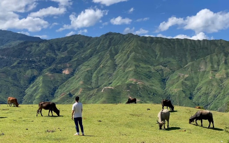 Con cua đá, động vật hoang dã nuôi la liệt ở đảo Cồn Cỏ của Quảng Trị, lấy 2 càng gắp rau bỏ vô mồm - Ảnh 2.