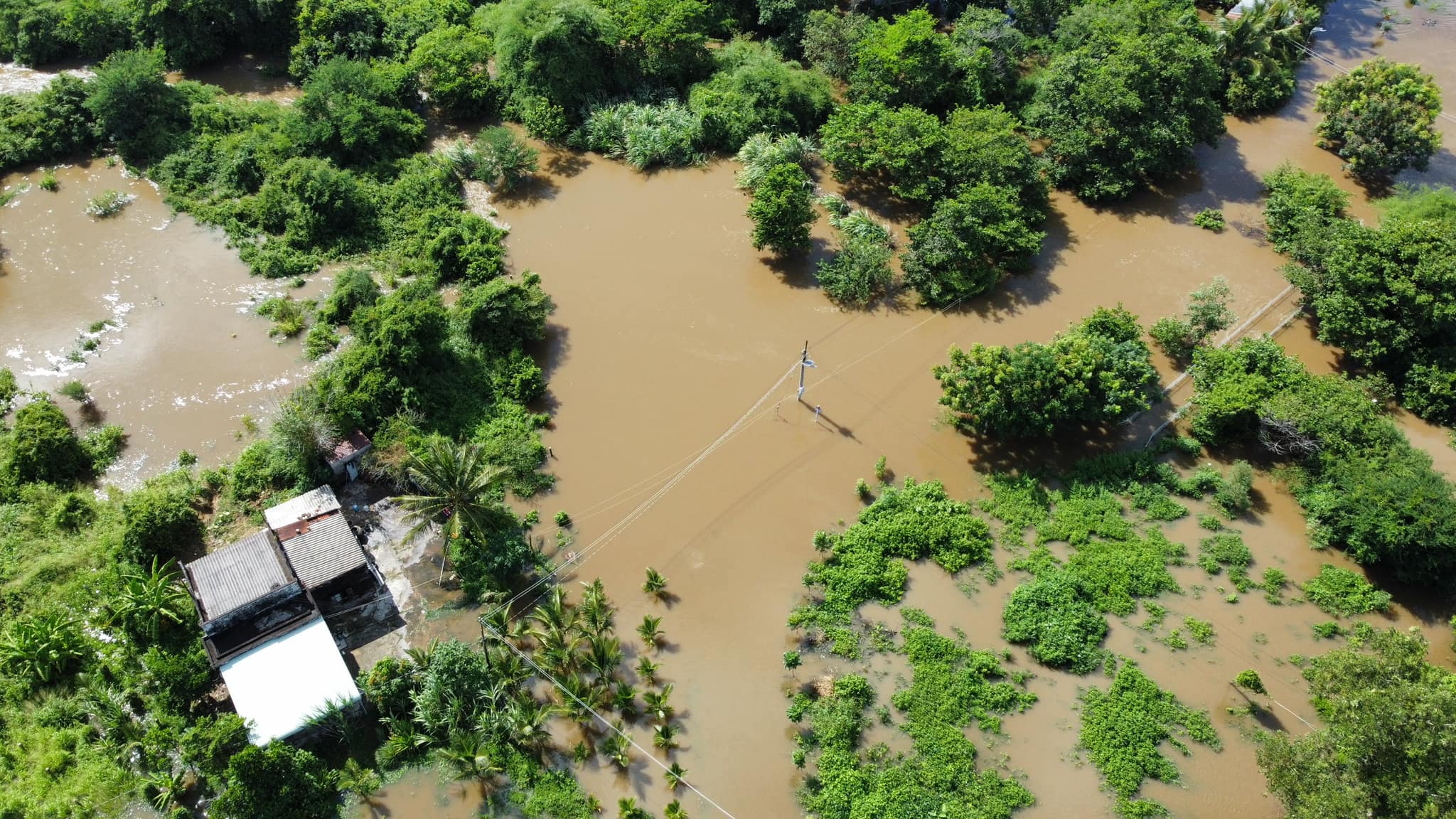 Hơn 230 hộ dân và 420 ha thanh long bị ngập do mưa lũ, chính quyền đang hỗ trợ người dân - Ảnh 4.