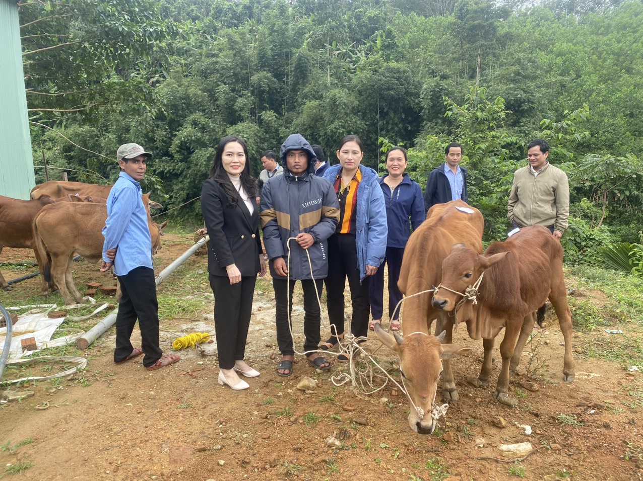 Hội Nông dân Quảng Nam đánh giá cao hiệu quả Dự án chăn nuôi bò sinh sản ở xã Trà Ka - Ảnh 1.