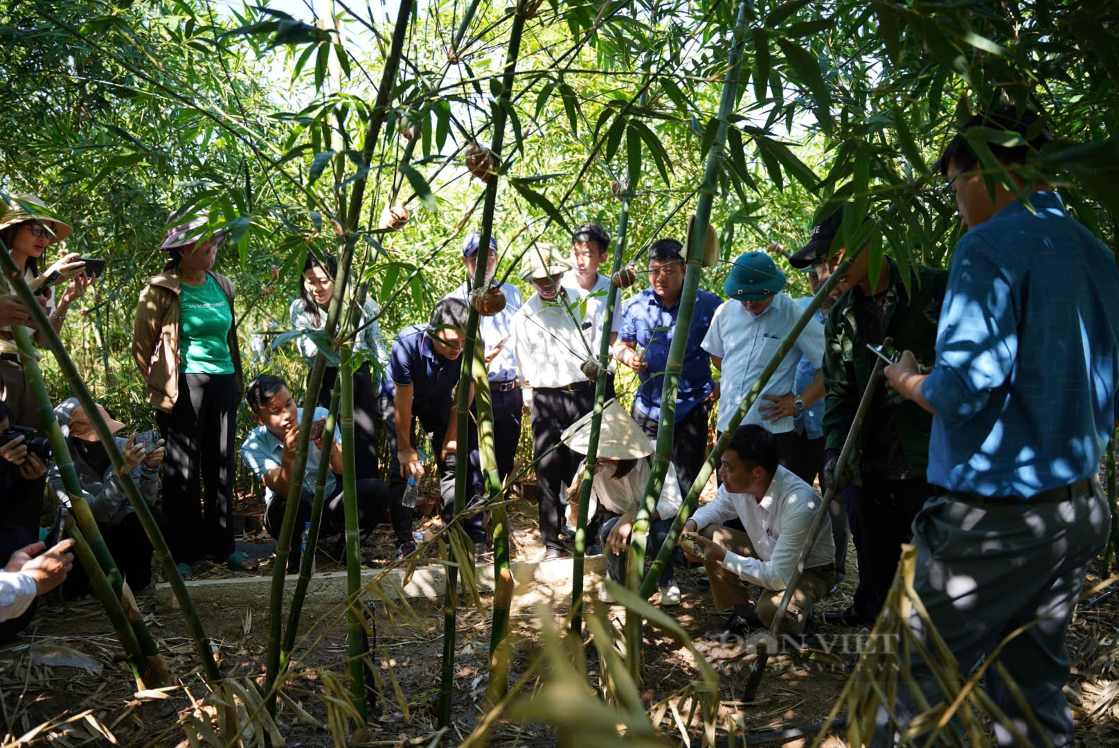 Nhà quản lý, chuyên gia cùng nông dân bàn giải pháp sinh kế thích ứng và giảm thiểu rủi ro do thiên tai - Ảnh 5.