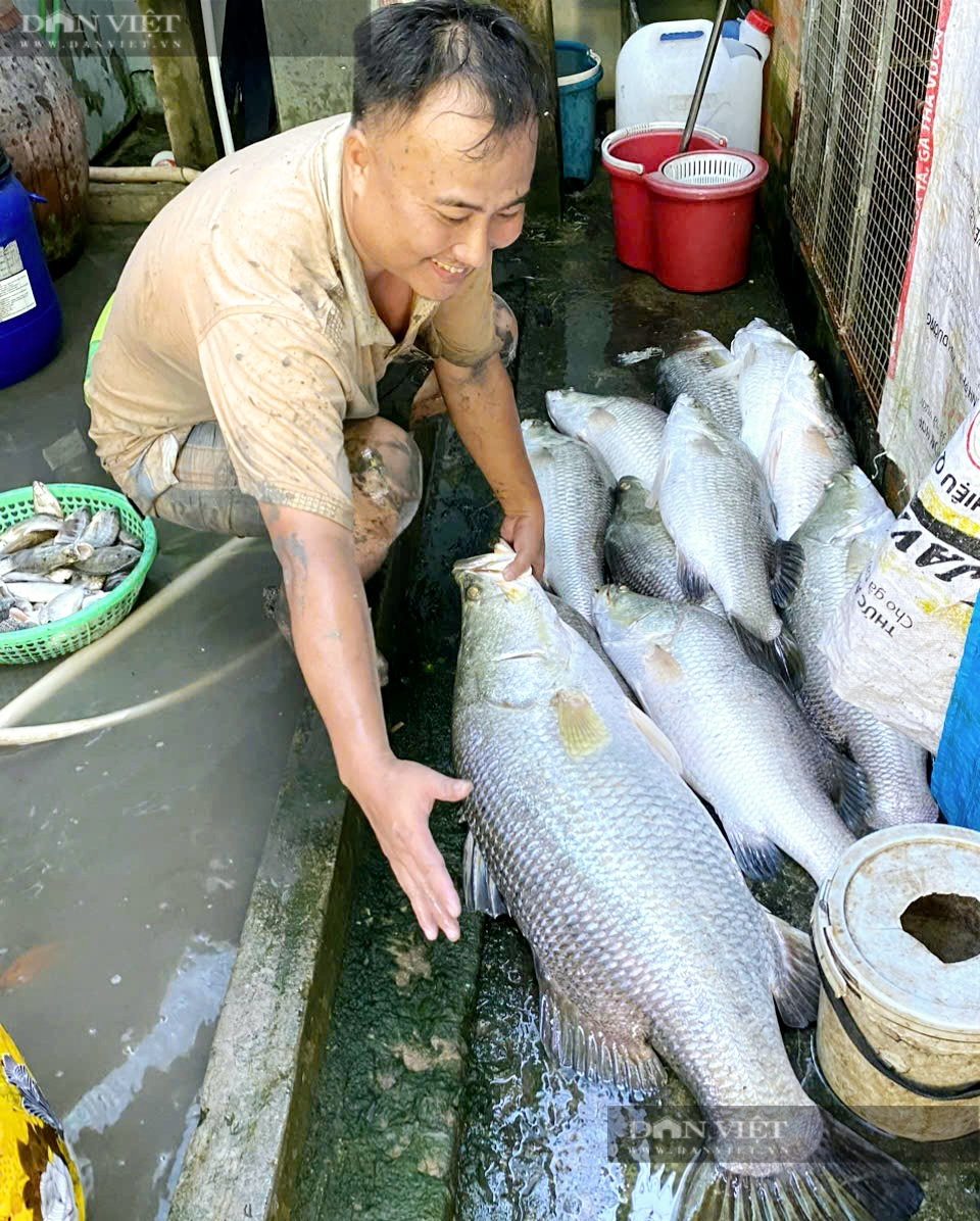 Sau 3 năm không thấy mặt tôm, cua, ông nông dân Cà Mau thuốc vuông mới bất ngờ phát hiện “thủ phạm”- Ảnh 4.