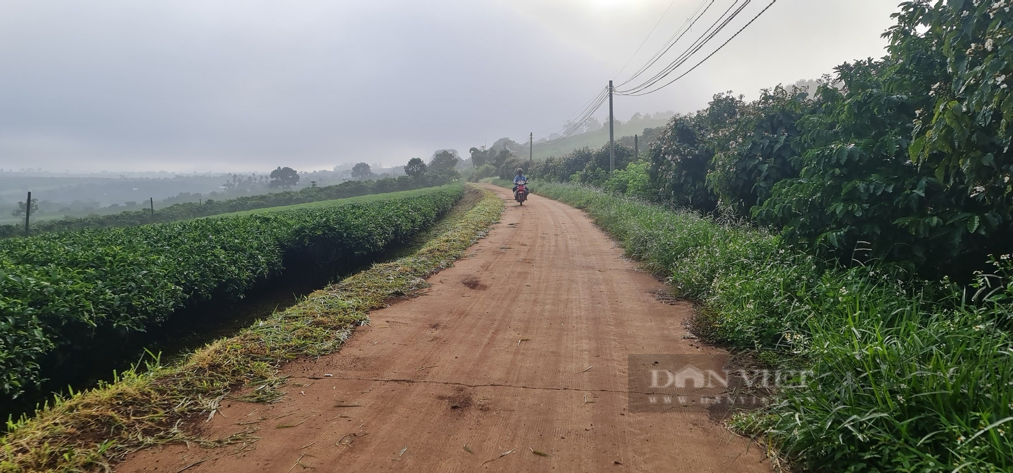 Nhiều hộ dân tại Lâm Đồng vẫn than điện yếu, bơm nước sinh hoạt phải chờ đến đêm - Ảnh 2.