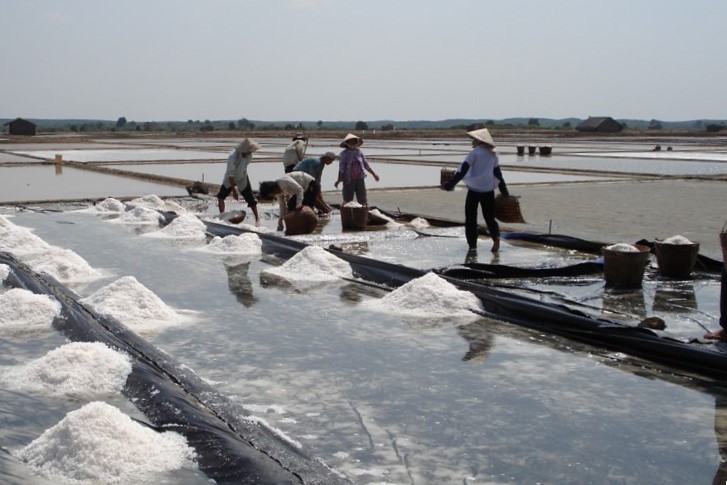 Nghề muối Cần Giờ khá lên nhờ cách sản xuất mới - Ảnh 1.