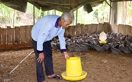 Ngành chức năng Cà Mau dùng cần cẩu thả 900 khối bê tông to xuống biển xây nhà cho cá hoang dã - Ảnh 6.