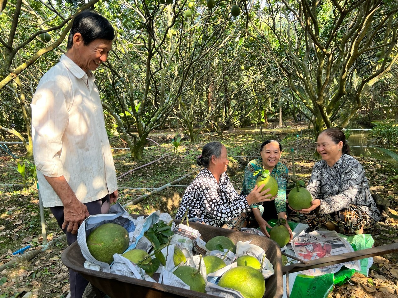 Phân bón Cà Mau thắng lớn 6 tháng đầu năm, nhờ đâu?- Ảnh 2.