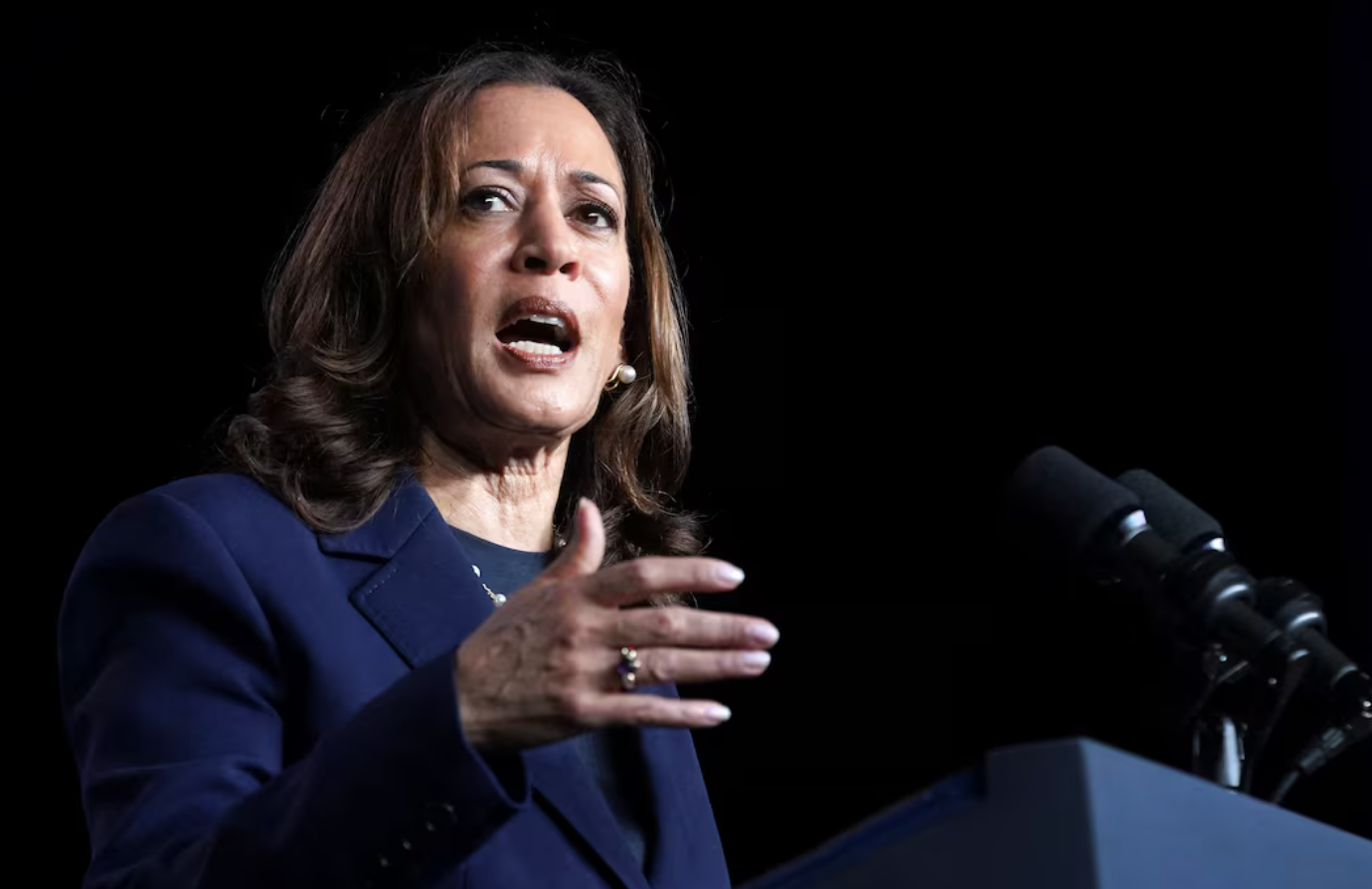 Bà Kamala Harris như "hổ thêm cánh"- Ảnh 1.