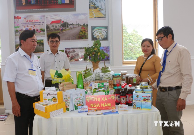 Ở một mơi trũng phèn của Sóc Trăng, dân trồng mãng cầu xiêm, ra trái ngon, to bự thế này đây- Ảnh 4.