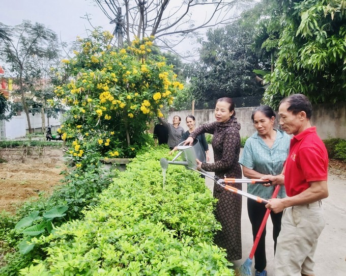 Một vùng quê nông thôn mới ở Vĩnh Phúc giàu, đẹp, đường hoa nông thôn mới sạch như phim- Ảnh 3.