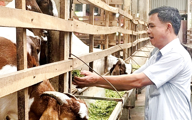 Một Hoàng Thái hậu quyền quý bậc nhất vương triều nhà Nguyễn, sống qua 10 đời vua, bà là ai? - Ảnh 9.