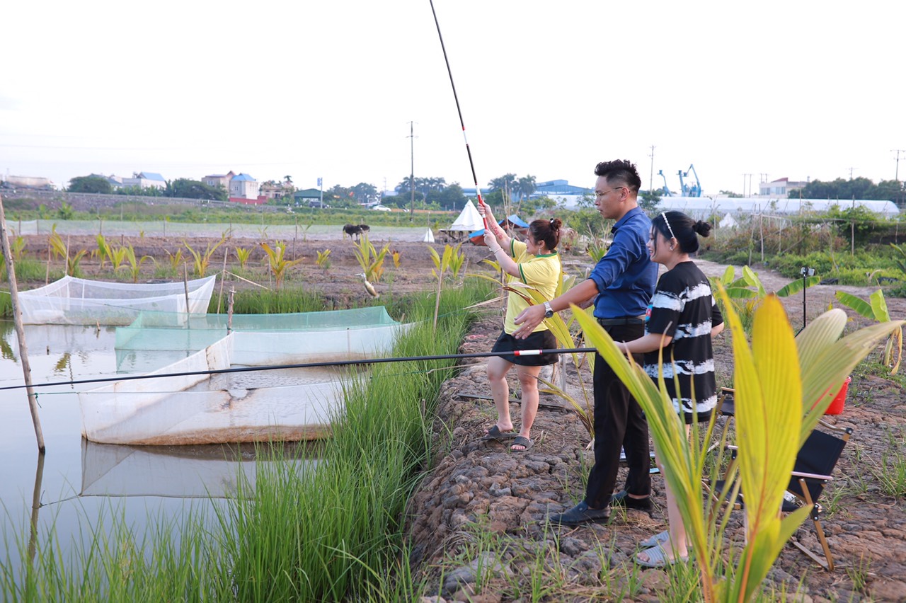 Anh thanh niên đất Cảng thôi làm giảng viên về quê làm nông nghiệp sạch, khiến đất hoang "nhả vàng" - Ảnh 5.