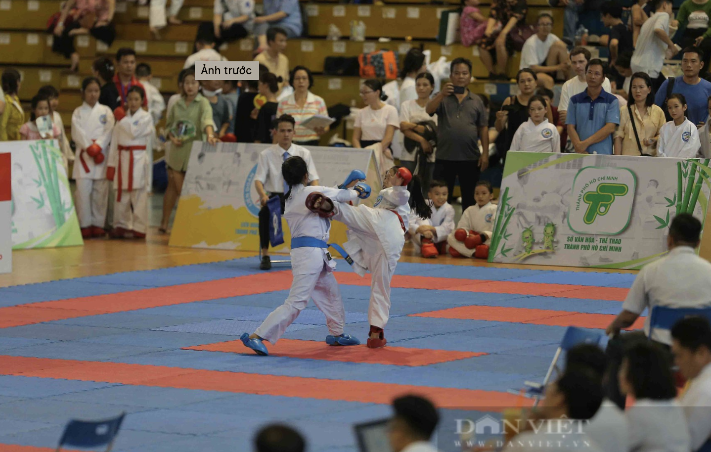 Từ vụ tố "nhường" huy chương Karate: Nỗi đau cho hai đứa trẻ- Ảnh 3.