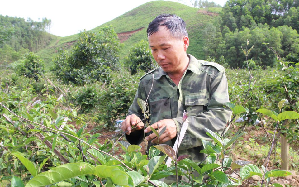 Từng bị gọi là "gã điên", nay ông nông dân Thái Bình có 25ha lúa, mỗi năm thu 200 tấn thóc - Ảnh 6.