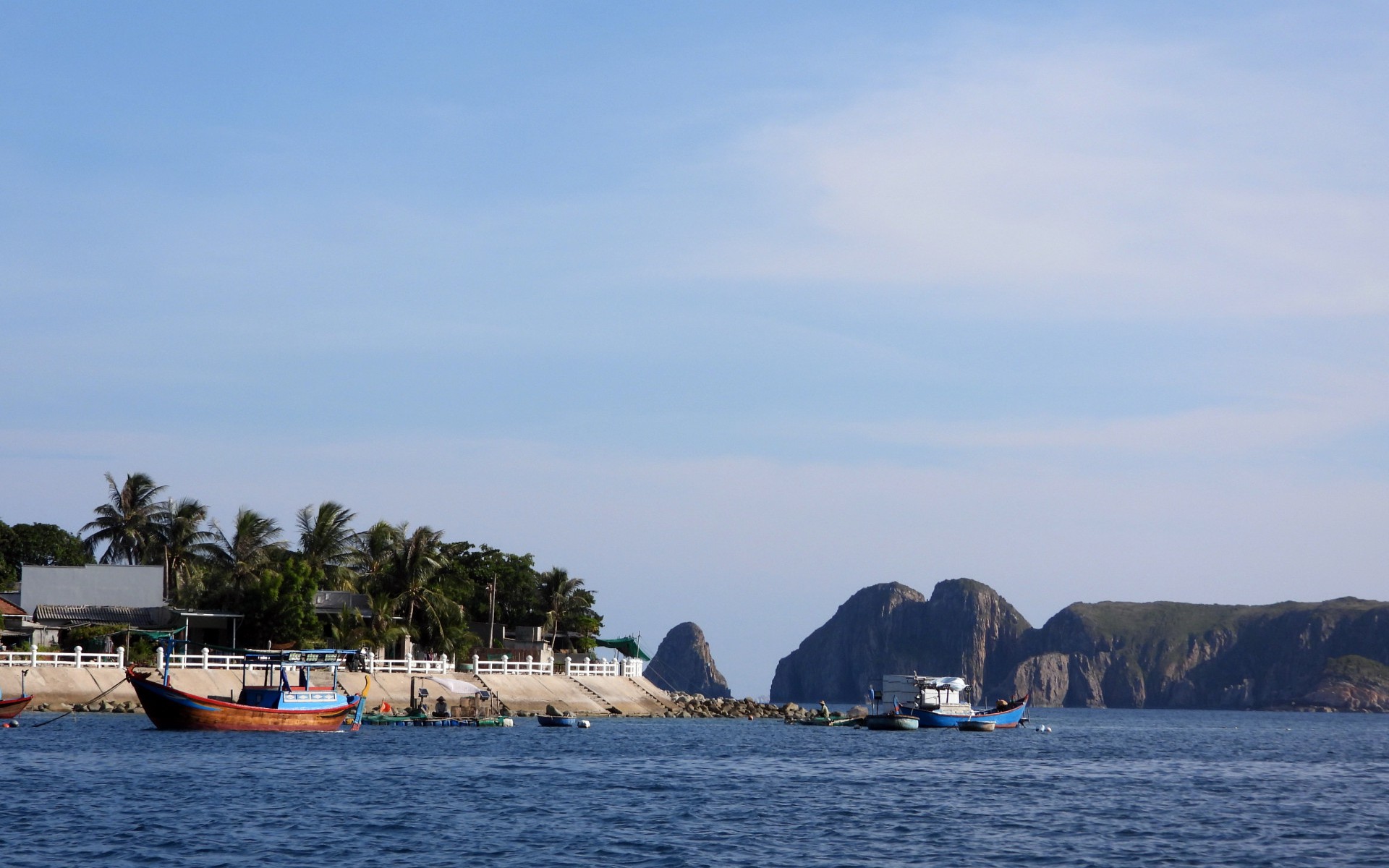 Mùa nước đổ, đầu nguồn sông Hậu ở An Giang dân nuôi dày đặc thứ cá gì, toàn con to bự? - Ảnh 2.