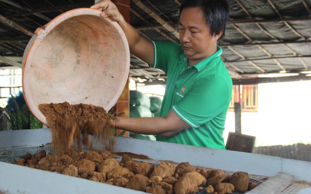 Chuyện lạ Tuyên Quang, một nông dân có biệt tài chữa bệnh cho cá đặc sản bằng rau sam, củ tỏi - Ảnh 7.