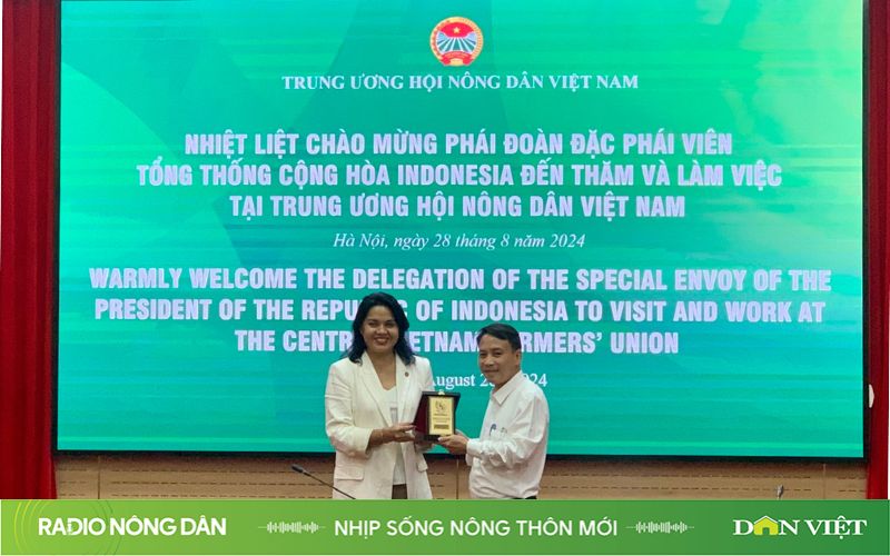 Nhịp sống nông thôn mới ngày 30/8/2024 - Ảnh 1.