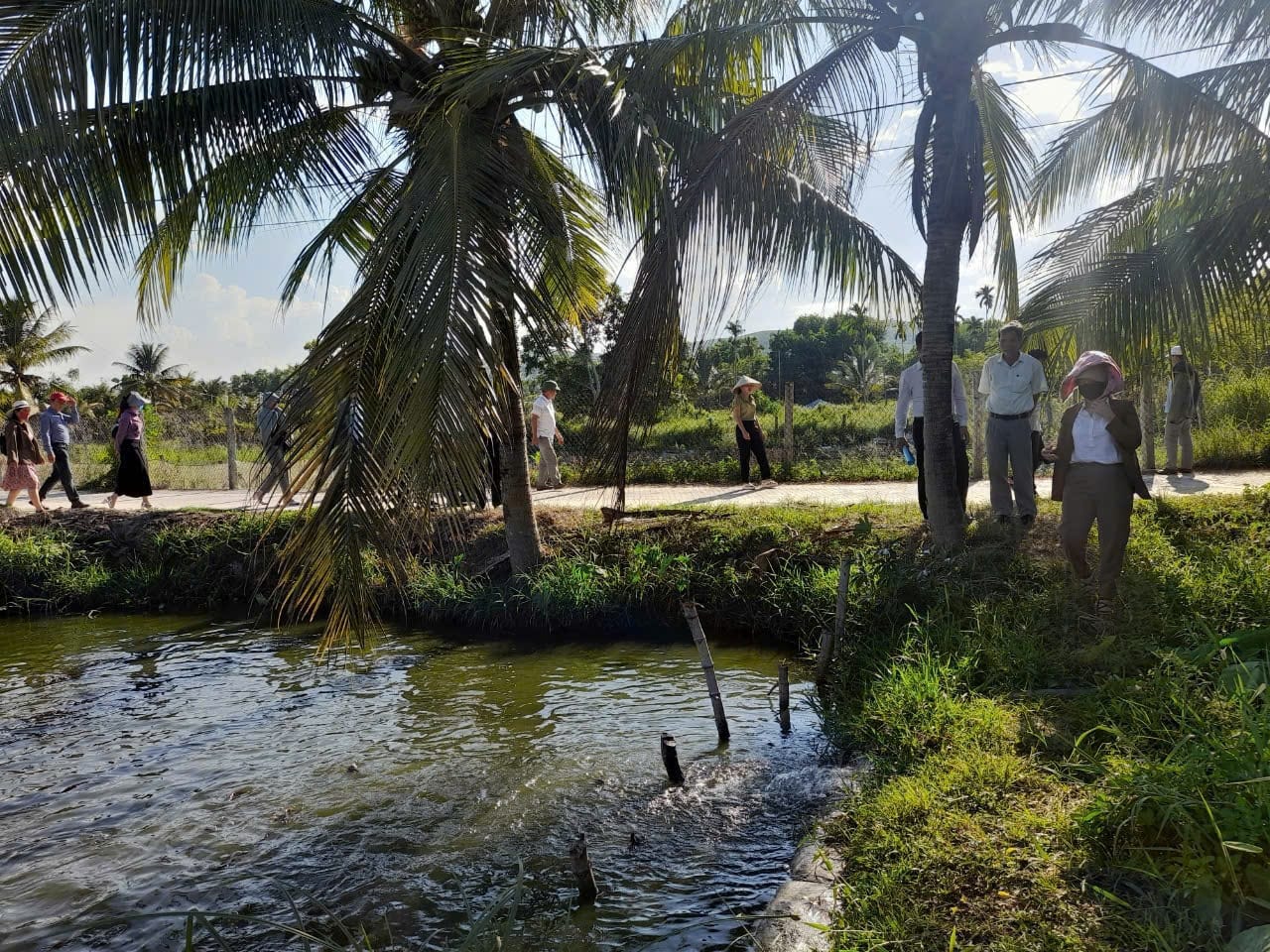 Đà Nẵng: Hội Nông dân huyện Hòa Vang tiếp đón Hội Nông dân Quế Sơn đến tham quan, trao đổi kinh nghiệm - Ảnh 4.