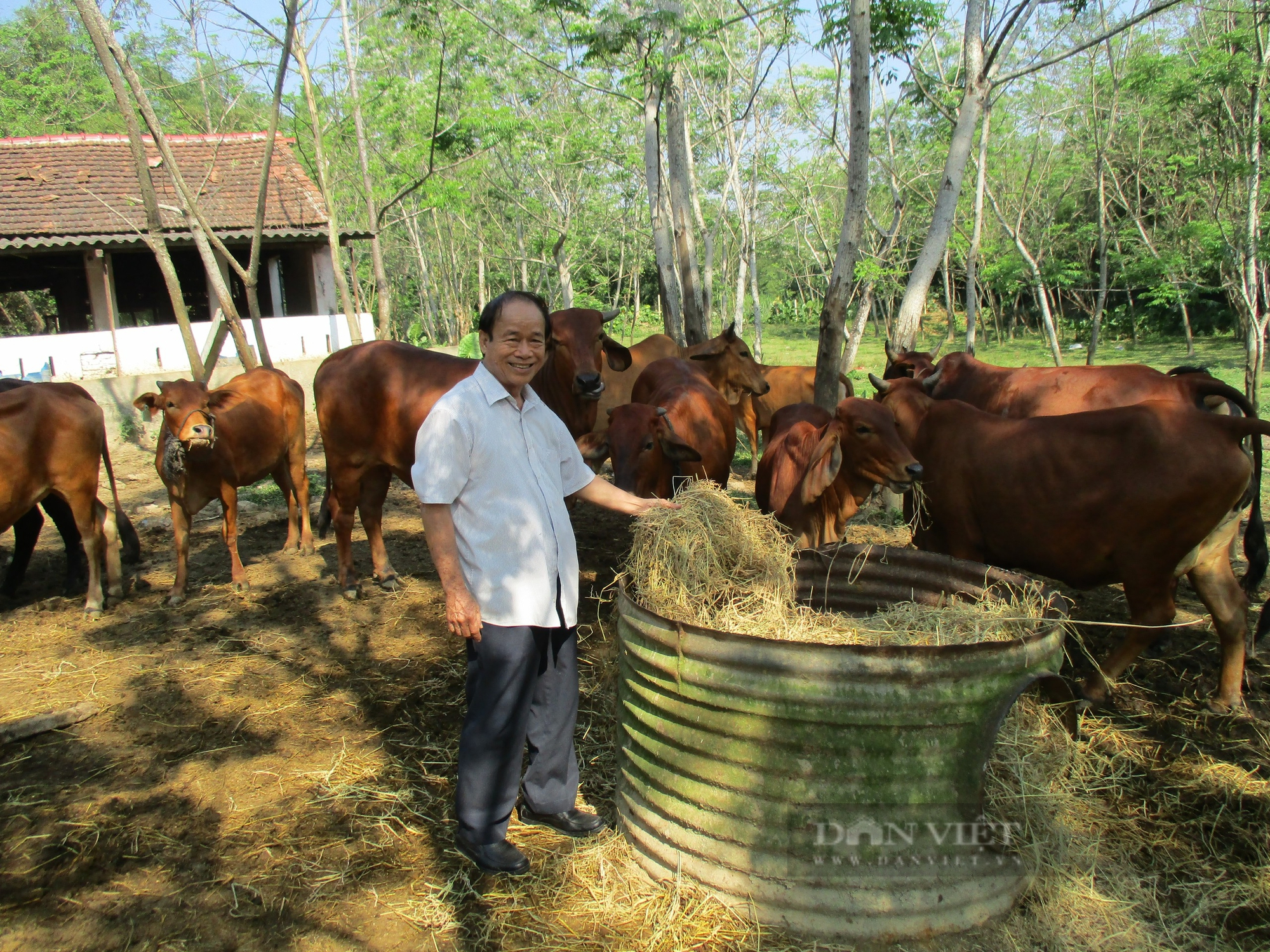 Liều nuôi lung tung, một người Quảng Nam có doanh thu 10 tỷ/năm, là Nông dân Việt Nam xuất sắc- Ảnh 6.