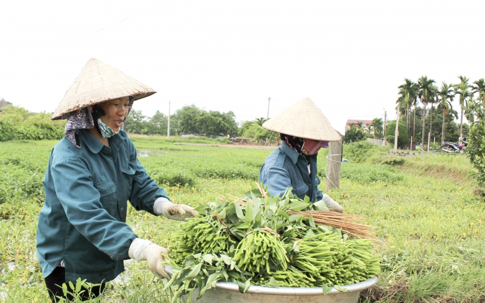 Ngôi làng cổ ở Hà Tĩnh: "Con nít ít hơn tiến sĩ", 3 di sản được UNESCO công nhận, 7 di tích cấp quốc gia - Ảnh 6.